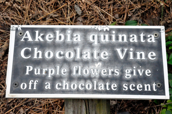 purple flower sign